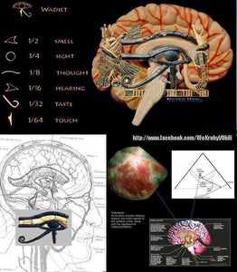 The third eye of Horus, The pineal gland, That we are kept from using...